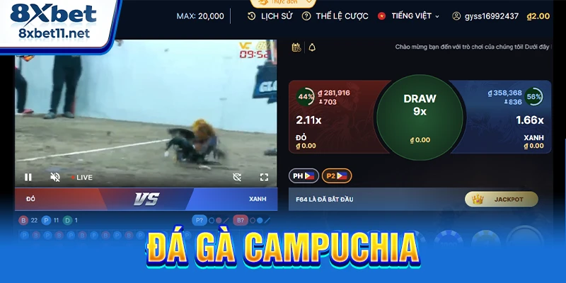 Đá Gà Campuchia 8XBET - Xem Trực Tiếp Với Tỷ Lệ Cao 6 đá gà Campuchia